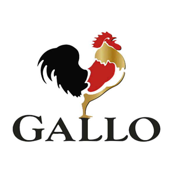 Photo activation portugal